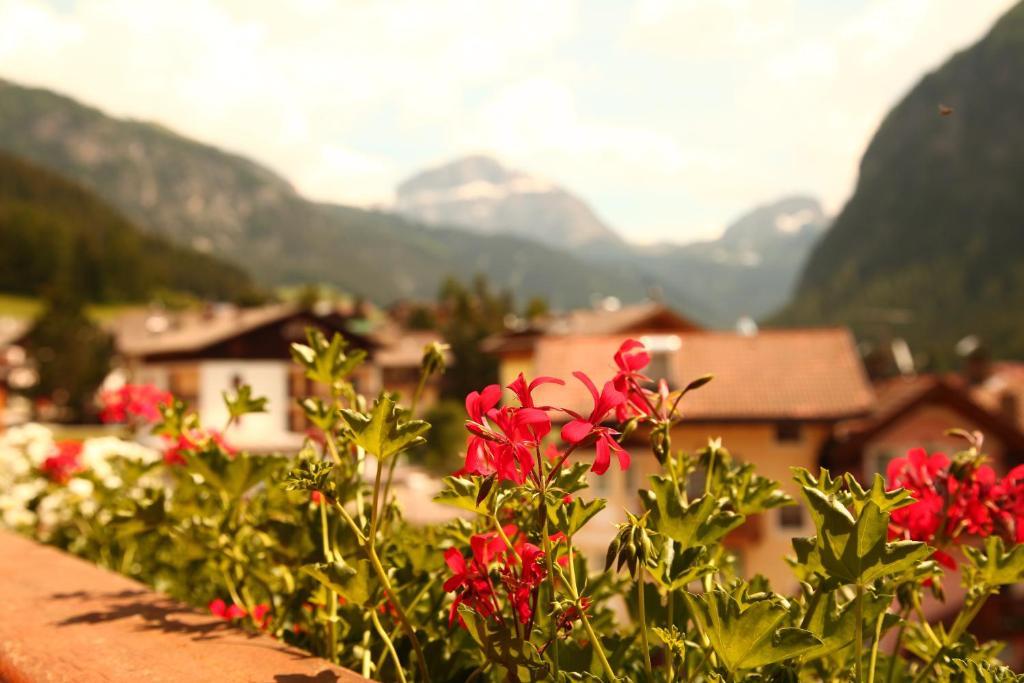 Garni Pra Fiori Hotel กัมปีเตลโลดีฟัสซา ห้อง รูปภาพ
